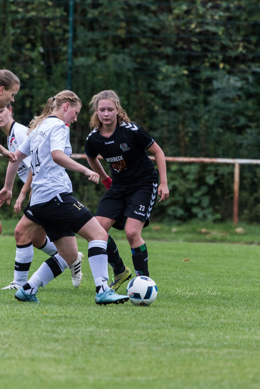 Bild 276 - Frauen Kieler MTV - SV Henstedt Ulzburg 2 : Ergebnis: 2:6